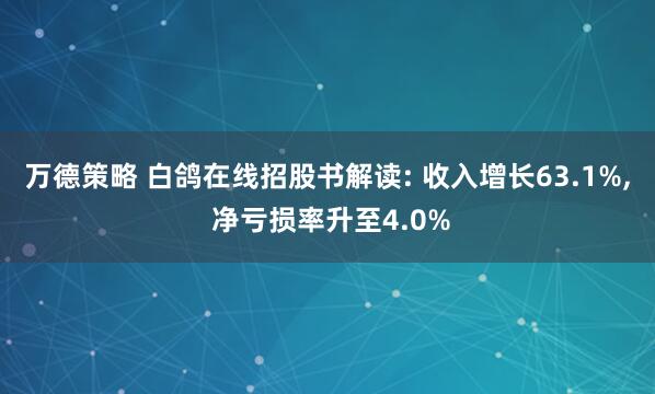 万德策略 白鸽在线招股书解读: 收入增长63.1%, 净亏损率升至4.0%