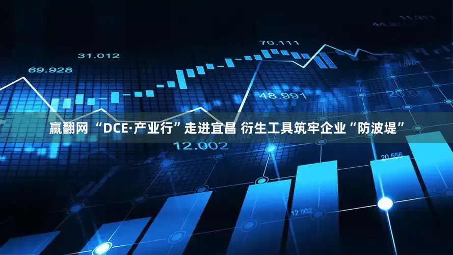 赢翻网 “DCE·产业行”走进宜昌 衍生工具筑牢企业“防波堤”