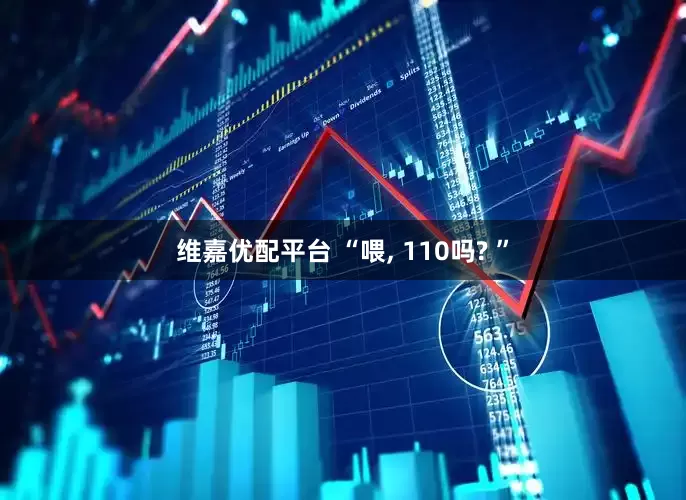 维嘉优配平台 “喂, 110吗? ”