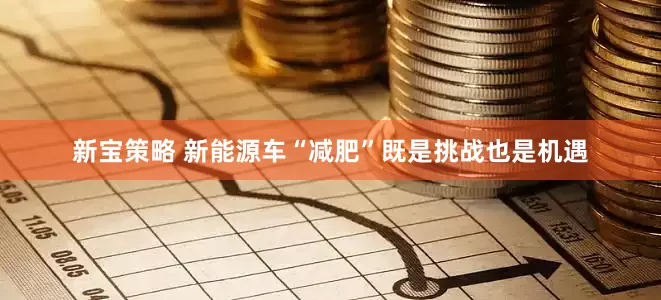 新宝策略 新能源车“减肥”既是挑战也是机遇