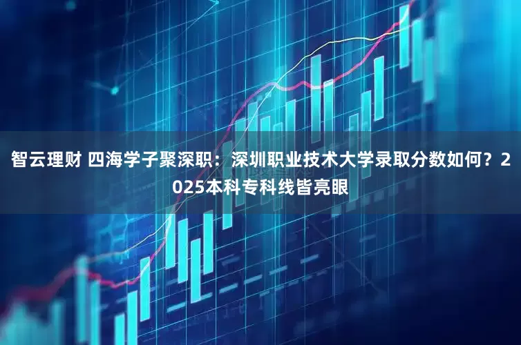 智云理财 四海学子聚深职：深圳职业技术大学录取分数如何？2025本科专科线皆亮眼